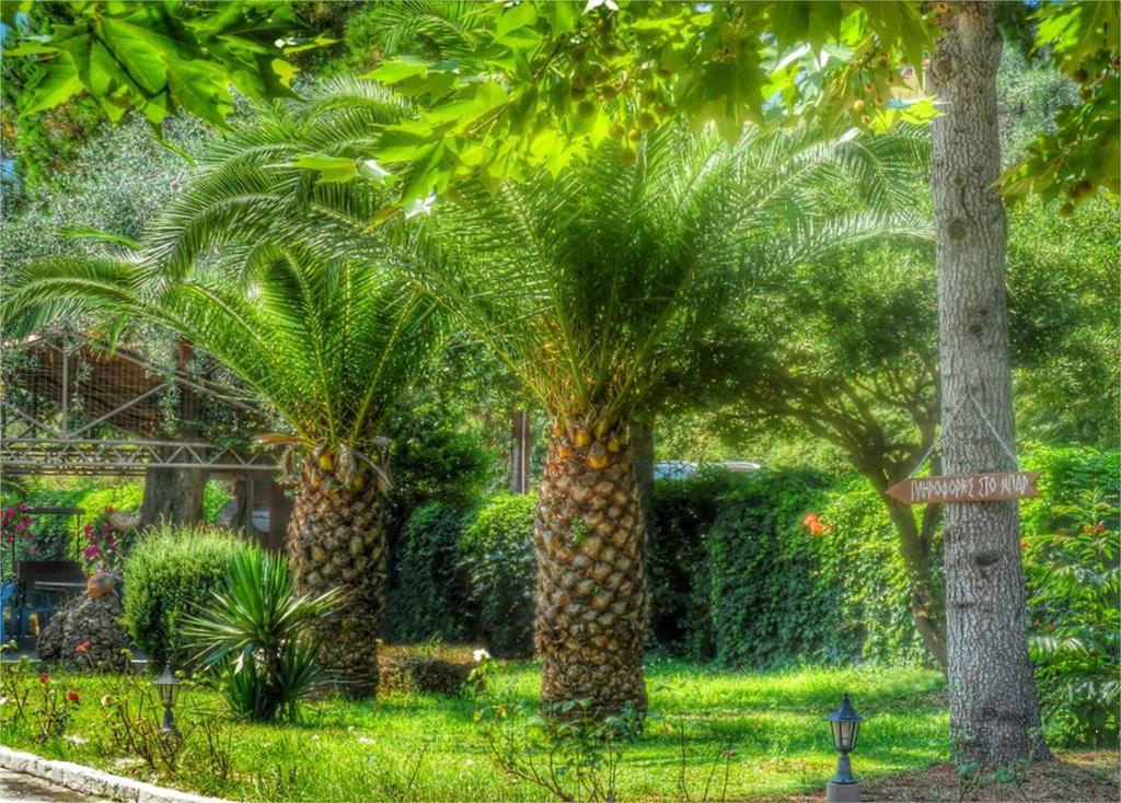 Aneton Aparthotel Chrysi Ammoudia Exterior foto