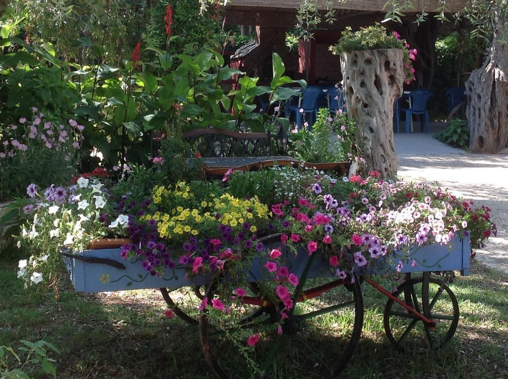 Aneton Aparthotel Chrysi Ammoudia Exterior foto