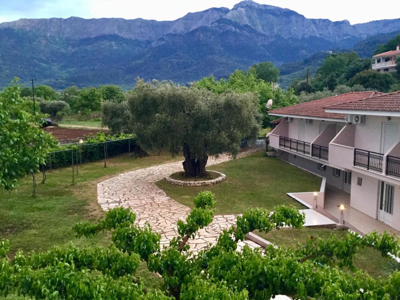 Aneton Aparthotel Chrysi Ammoudia Exterior foto